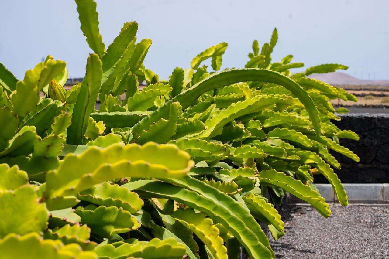 Eslanzarote Eco Dome Experience Hotel Teguise  Bagian luar foto