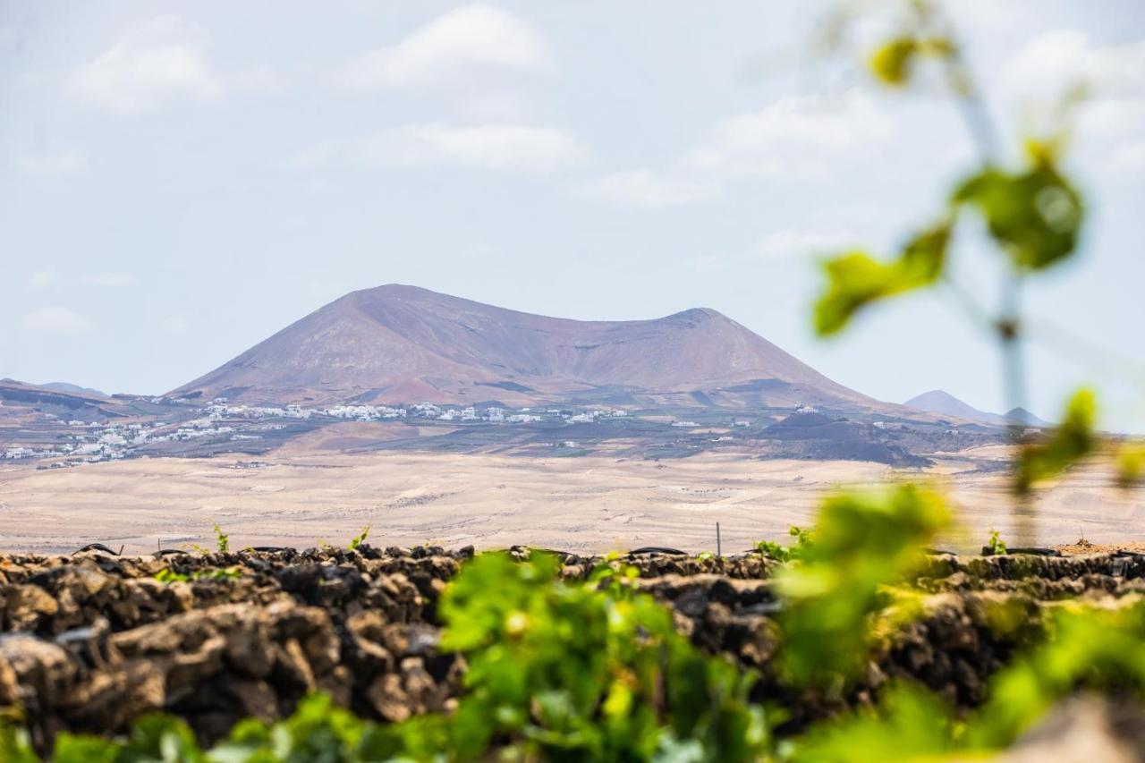 Eslanzarote Eco Dome Experience Hotel Teguise  Bagian luar foto