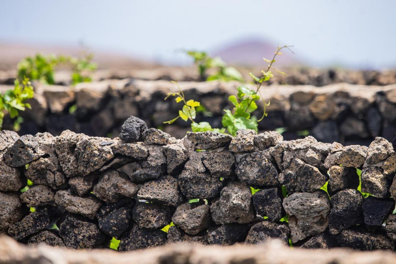 Eslanzarote Eco Dome Experience Hotel Teguise  Bagian luar foto