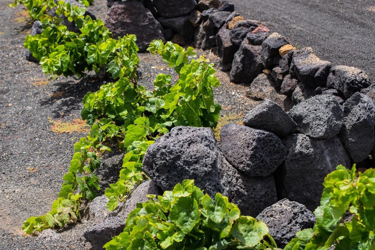 Eslanzarote Eco Dome Experience Hotel Teguise  Bagian luar foto